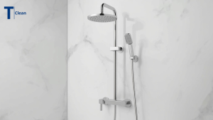 vòi sen inox